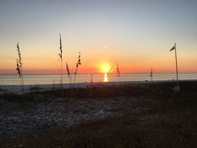 Raven Beach House