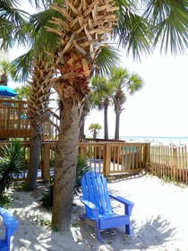 The Driftwood Lodge