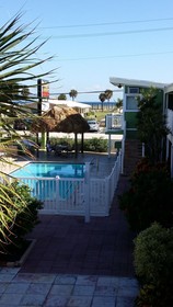The Palms On Ocean