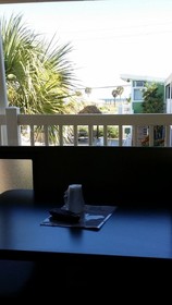 The Palms On Ocean