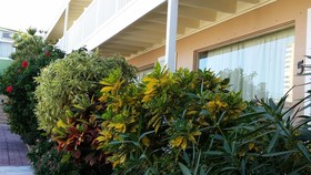 The Palms On Ocean