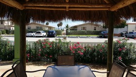 The Palms On Ocean