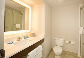 Holiday Inn Express & Suites Port Charlotte