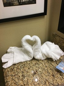 Country Inn & Suites by Radisson, Port Orange-Daytona, FL