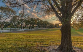 PGA Village 7 Room Golf Resort Villa by American Vacation Living