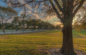 PGA Village 7 Room Golf Resort Villa by American Vacation Living