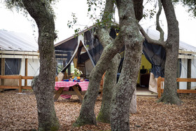 Westgate River Ranch Resort & Rodeo