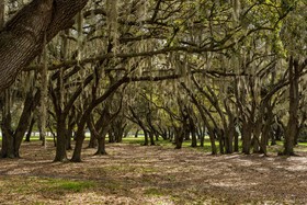 Westgate River Ranch Resort & Rodeo