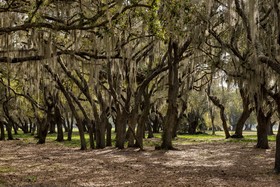 Westgate River Ranch Resort & Rodeo