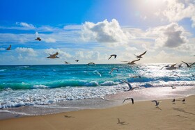 Palm Beach Singer Island Resort & Spa Luxury Suites