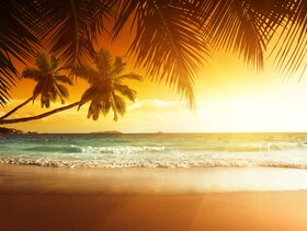 Palm Beach Singer Island Resort & Spa Luxury Suites