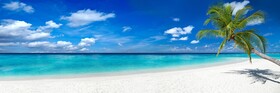 Palm Beach Singer Island Resort & Spa Luxury Suites