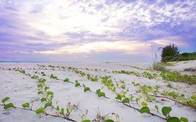 West Wind Island Resort