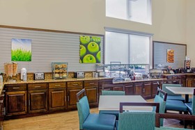 Comfort Inn & Suites Sarasota I75