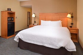 Hampton Inn & Suites Tampa-East