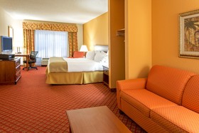 Holiday Inn Express Hotel & Suites Silver Springs - Ocala