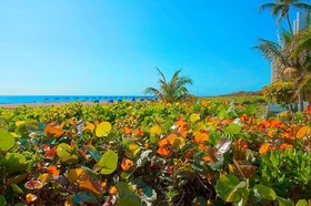 The Singer Oceanfront Resort, Curio Collection by Hilton