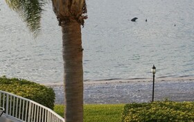 Bahia Vista by RedAwning