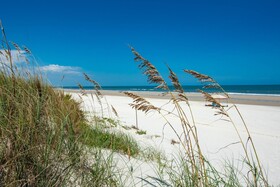 Array of Sunshine Beach House