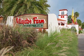 Little San Felipe Cottage