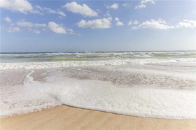 Seastar Sandbar