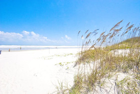 Sunshine State Of Mind