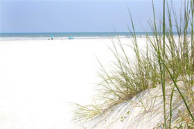 Sunshine State Of Mind