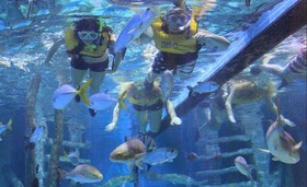 RumFish Beach Resort by TradeWinds