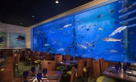 RumFish Beach Resort by TradeWinds