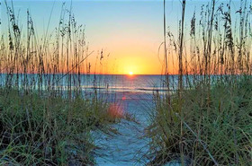 Tropical Beach Escape