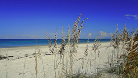 Tropical Beach Escape