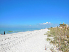 Tropical Beach Escape