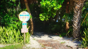 Tropical Beach Escape