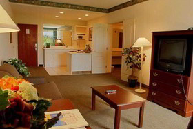 Holiday Inn St. Petersburg West