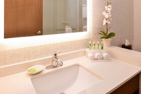Holiday Inn Express & Suites St. Petersburg - Seminole Area