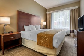 Comfort Suites Sawgrass