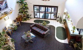 Comfort Suites Tampa - Brandon