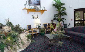 Comfort Suites Tampa - Brandon