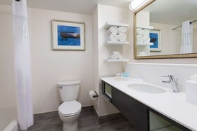 Hampton Inn & Suites Tampa Airport Avion Park Westshore