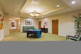 Holiday Inn Express & Suites Tampa - I-75 @ Bruce B. Downs