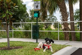 Home2 Suites by Hilton Tampa Westshore Airport