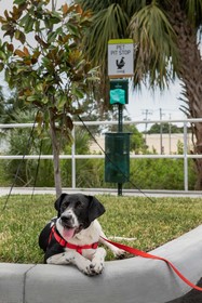 Home2 Suites by Hilton Tampa Westshore Airport