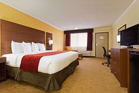 Ramada by Wyndham Tampa Airport Westshore