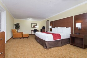 Ramada by Wyndham Tampa Airport Westshore