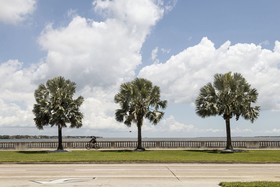 Roost Tampa