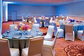 Sheraton Tampa Brandon Hotel