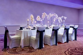 Sheraton Tampa Brandon Hotel