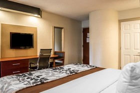 Sleep Inn near Bush Gardens - USF