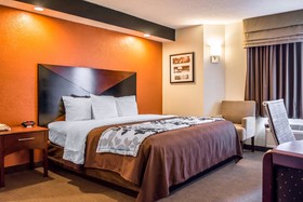 Sleep Inn near Bush Gardens - USF