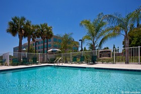 Staybridge Suites Tampa East-Brandon